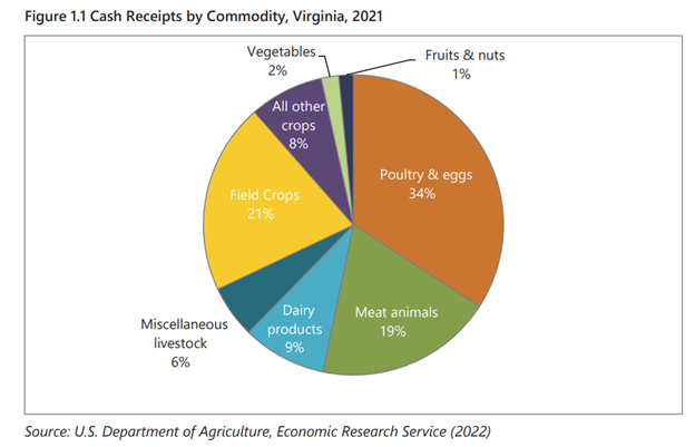 A pie chart showing the share of livestock, dairy products, meat animals, poultry products, fruits/nuts, vegetables, and other crops that make up Virginia's agricultural output. 