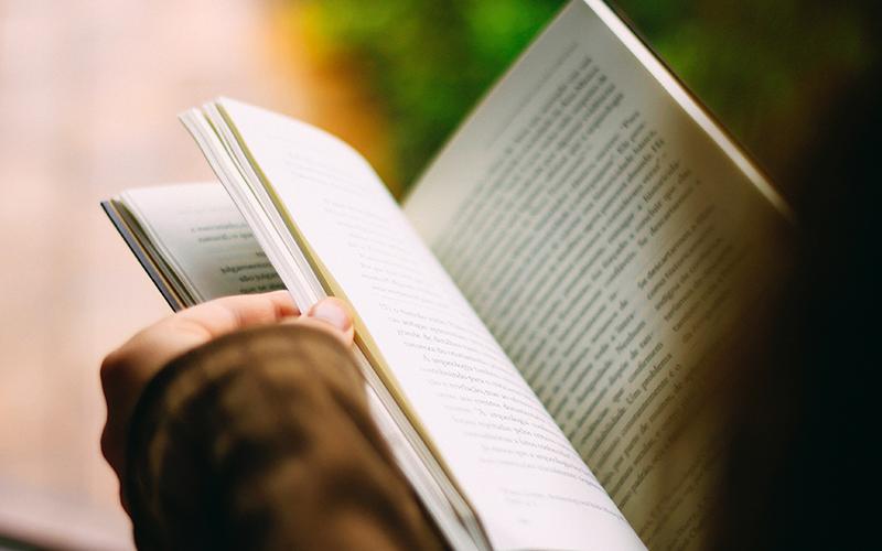 A young girl reading a book