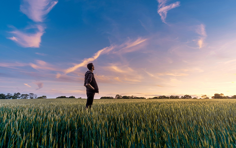 Person looking out over a field