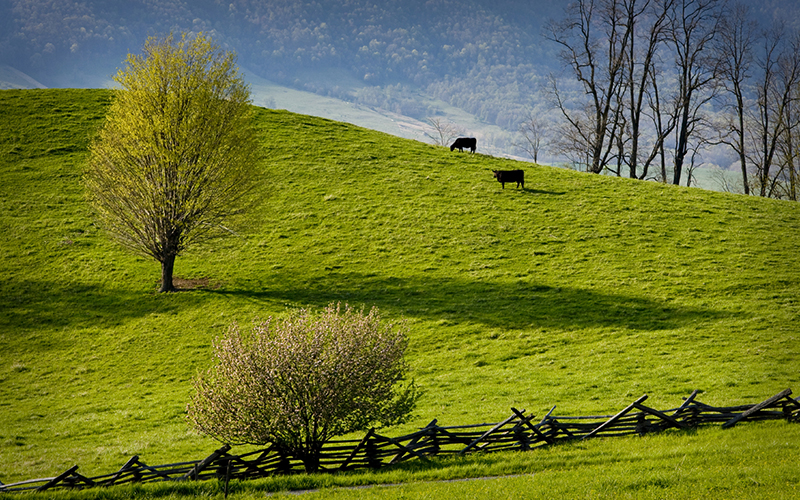 Virginia farm in the moutains