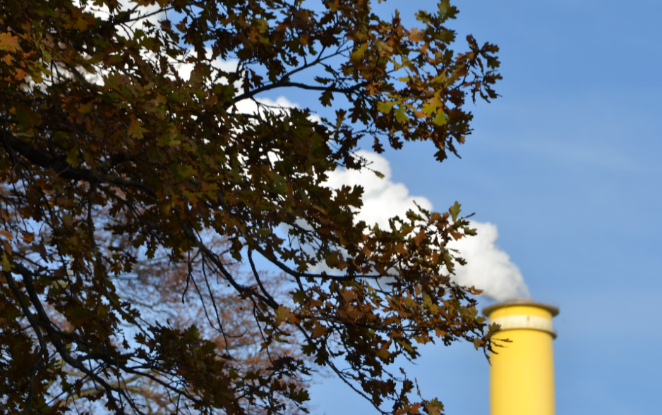 smokestack seen through leaves