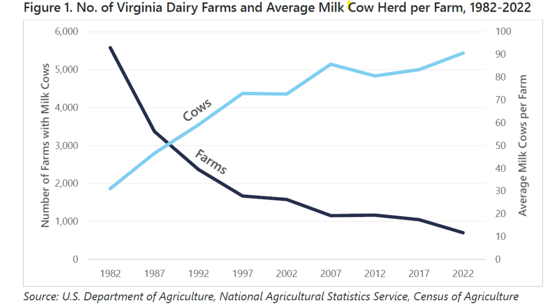 Graphic showing cows vs farms in Virginia