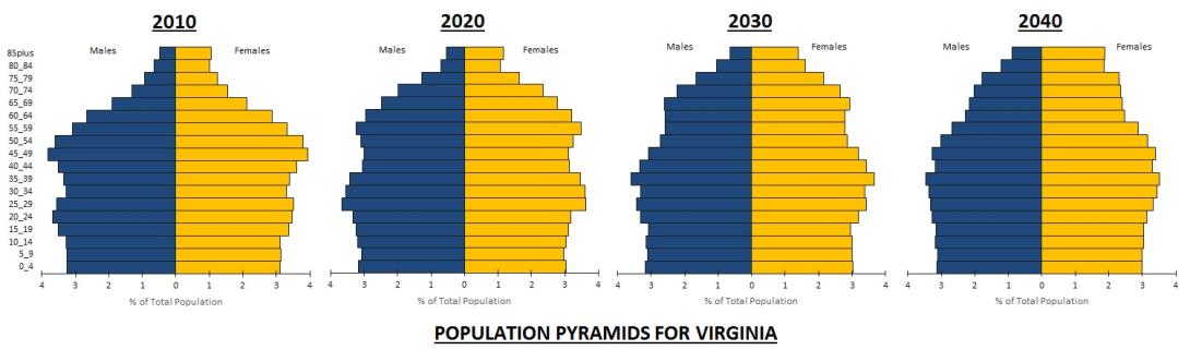 Population-Pyramids-for-Virginia.jpg Population-Pyramids-for-Virginia.jpg